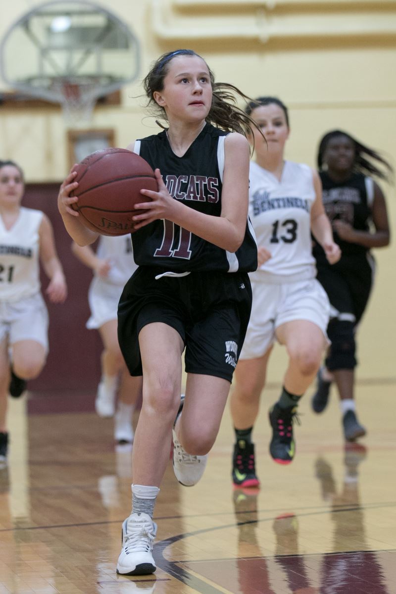 image of girl preparing to shoot basketball