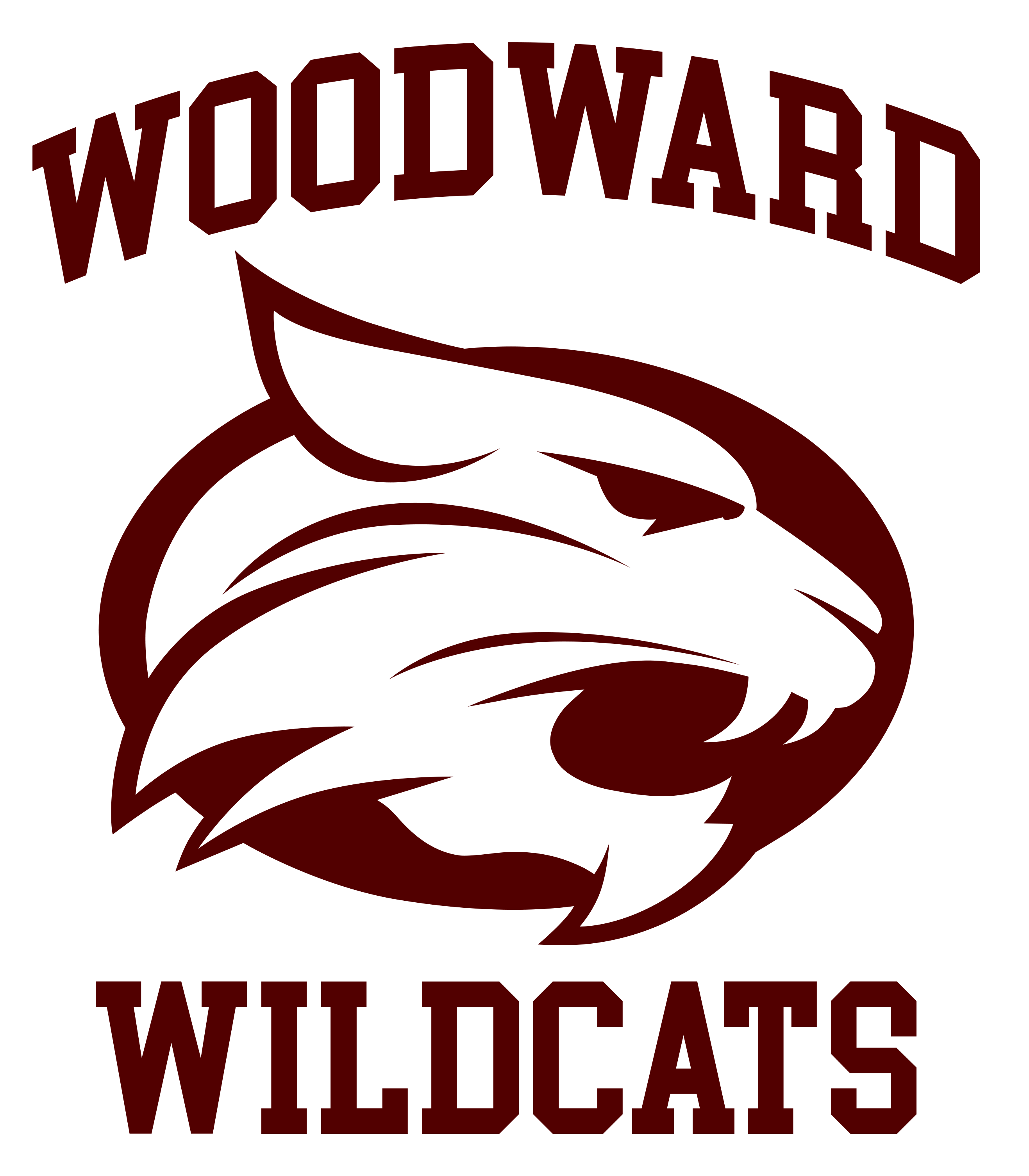 Woodward Wildcats Logo