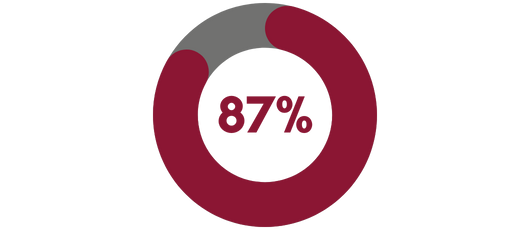 87% decorative circle to represent that percentage